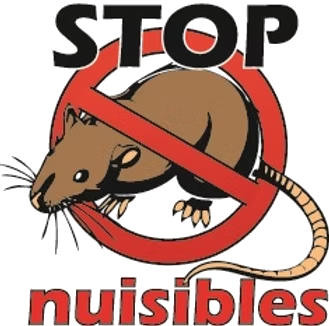 Dératisation direct Mons